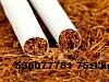 Staa Oferta 70z kg PREZENTY tyto tyton bez zani